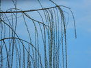 DSCN0676