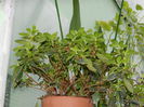 DSCN0686
