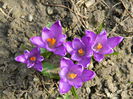 DSCN0710