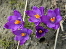 DSCN0714