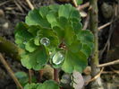 DSCN0717