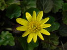 DSCN0719