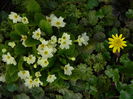 DSCN0720