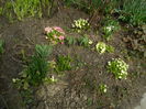 DSCN0722