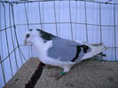 Picture 040
