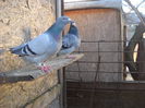 Picture 2055