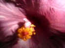 SAM_3297