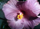 SAM_3298
