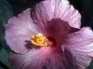 SAM_3301