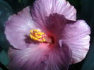 SAM_3302