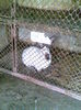 Image022