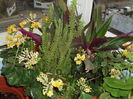 jardiniera cu diferite flori