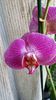 20150318_100212
