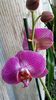 20150318_100159