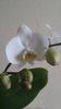 20150315_162652