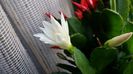 20150318_095907