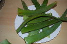 Frunze Aloe ptr.macerat..