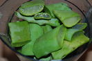 Frunze Aloe taiate si puse in blender ptr.macerat.,