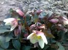 080320152297