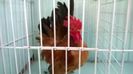 WP_20140805_007