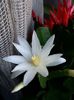 20150319_092540