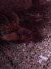 IMG_20150319_134705