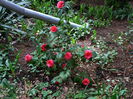 P1250082