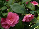 P1250190