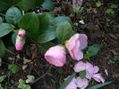 P1250901