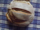DSCF3462