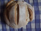 DSCF3460