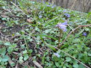 DSCN1538
