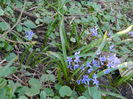 DSCN1539