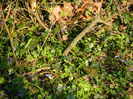 DSCN1540