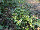 DSCN1547