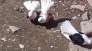 20150321_125846