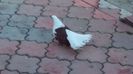 20150321_125406