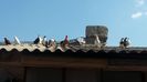 20150321_125317