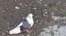 20150321_124952
