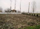 IMG_0003