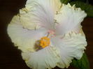SAM_3565