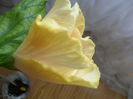 SAM_3540