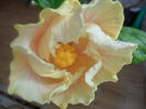 SAM_3542