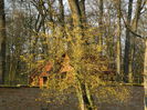 DSCN1610