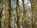DSCN1619