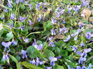 DSCN1623