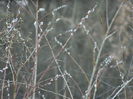 DSCN1630
