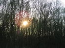 DSCN1636