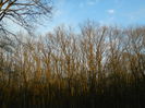 DSCN1642