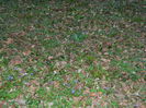 DSCN1694